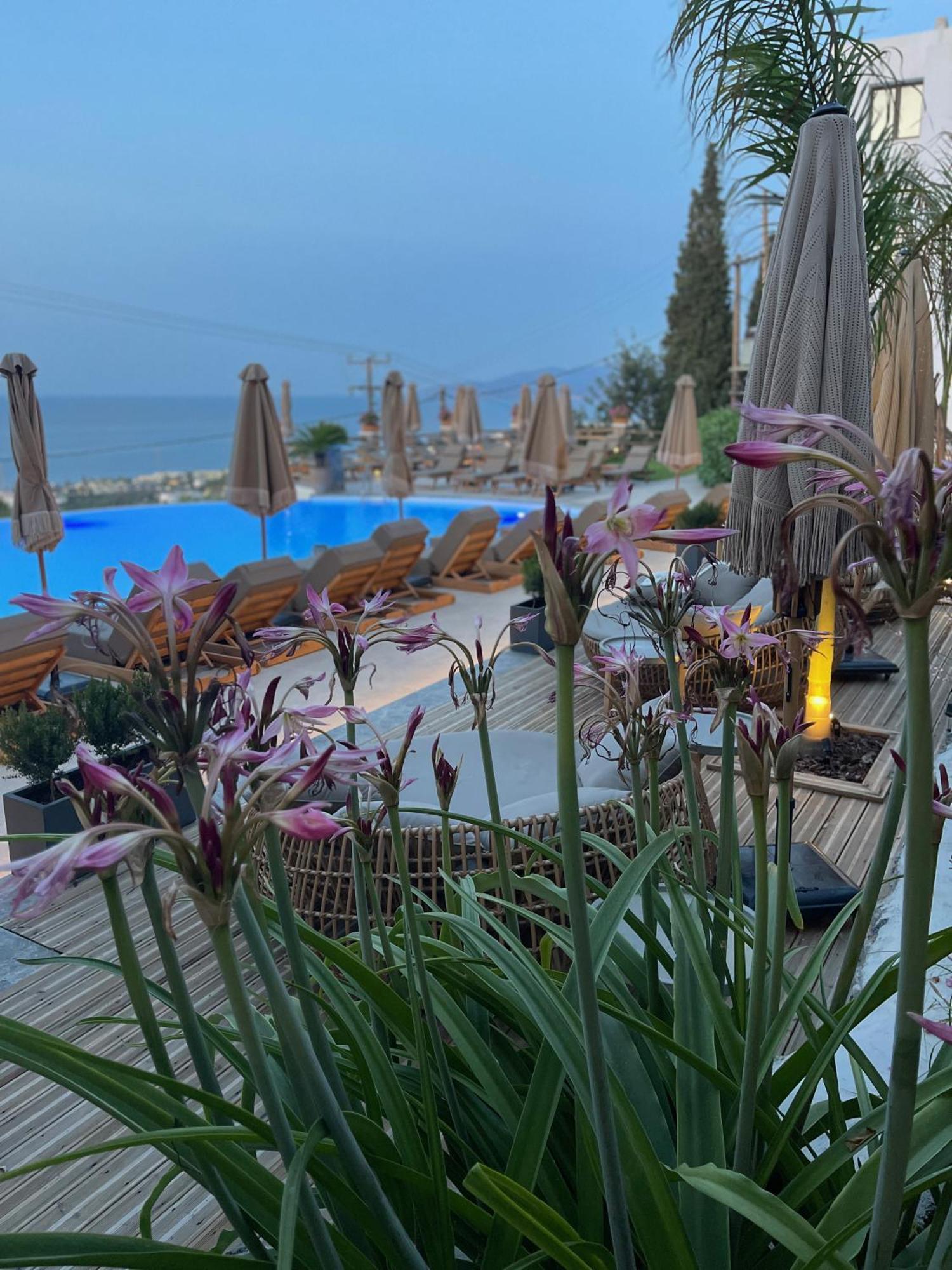 Hotel Creta Blue Boutique 4*